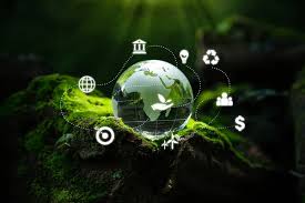Sustainable technology and global innovation